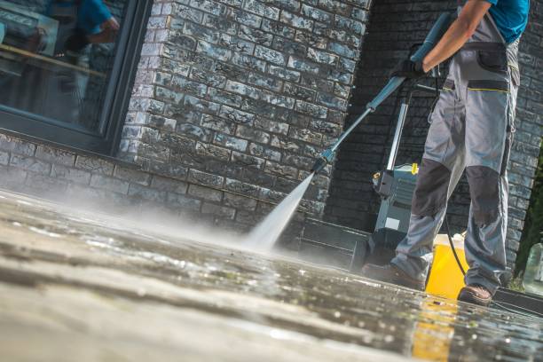 Best Roof Washing  in Bingham Farms, MI